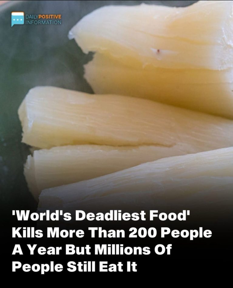 Over 200 People Are K.illed
