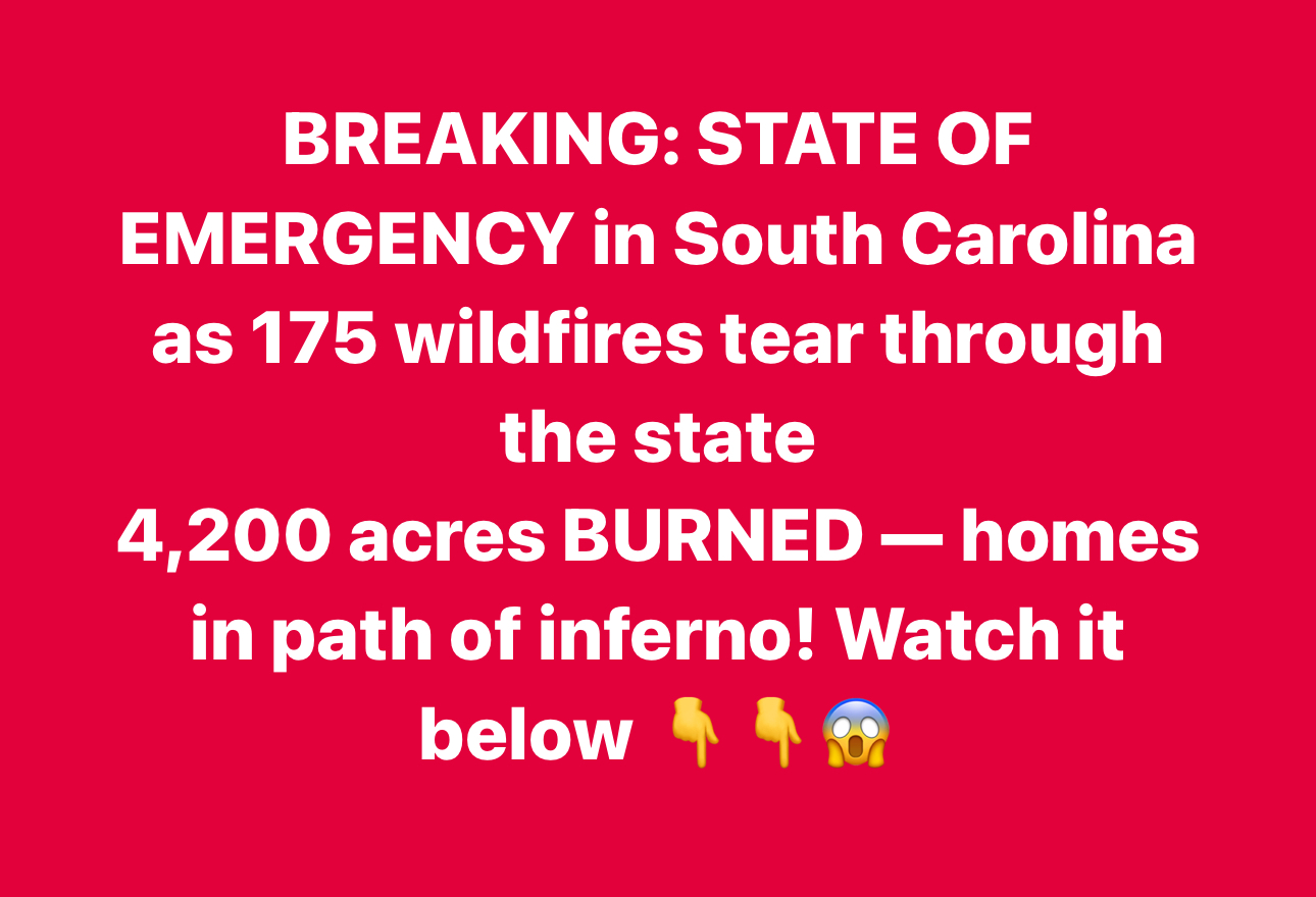 South Carolina Enters State of Emergency as Wildfires Rage Across the ...