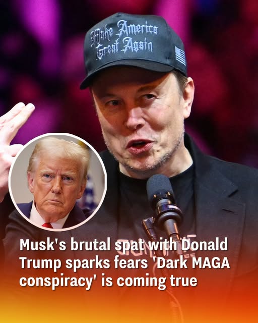 Musk’s brutal spat with Donald Trump sparks fears ‘Dark MAGA conspiracy’ is coming true