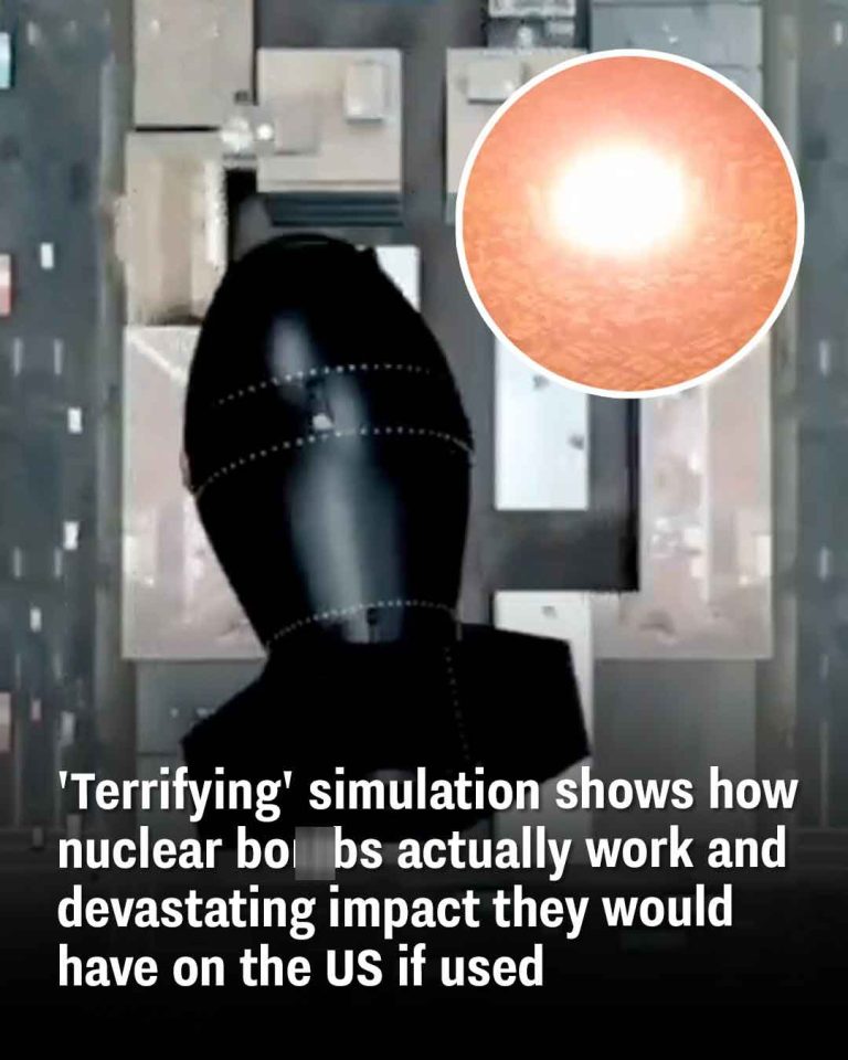 ‘Terrifying’ simulation shows how nuclear bombs actually work and devastating impact they would have on the US if used