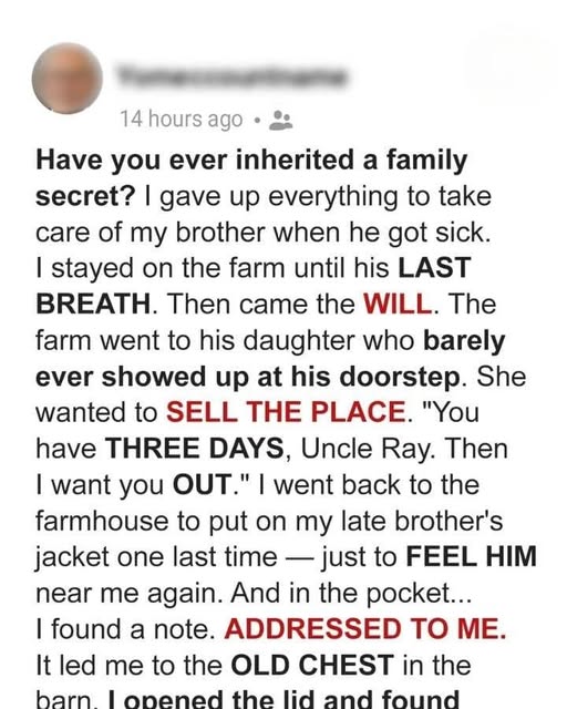 My Late Brother’s Last Will Revealed a Family Secret I Was Never Supposed to Know