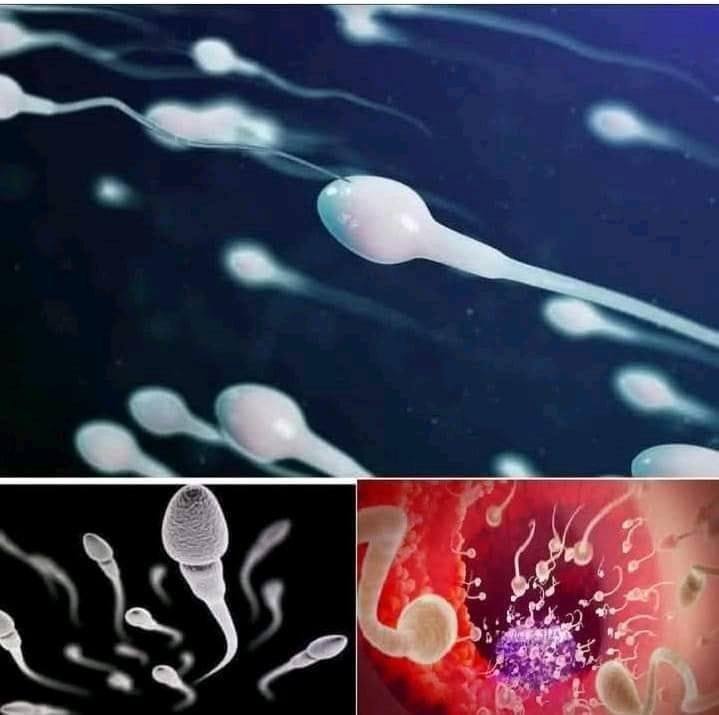 !!! Studies reveal