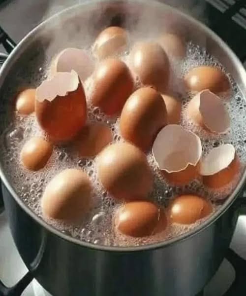 Don’t Toss Those Eggshells: 17 Ways to Reuse Them