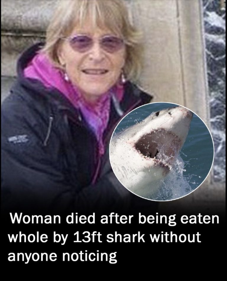 Tragedy at Sea: Woman Swallowed Whol