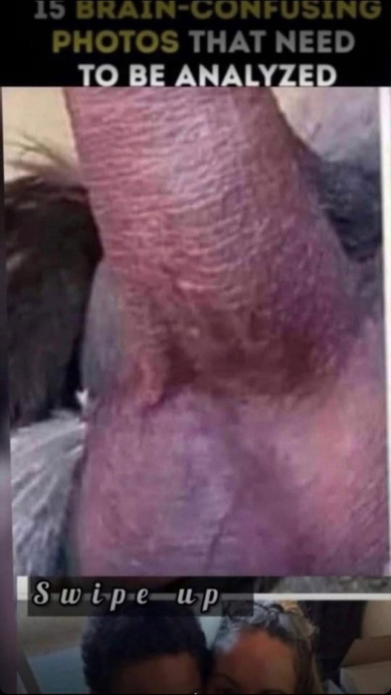 26 Pictures That Need A Sec