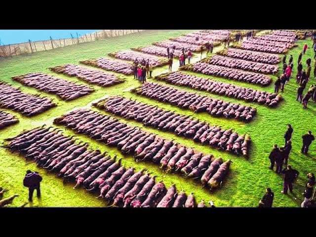 Drone Footage Reveals Astonishing Magnetic Field