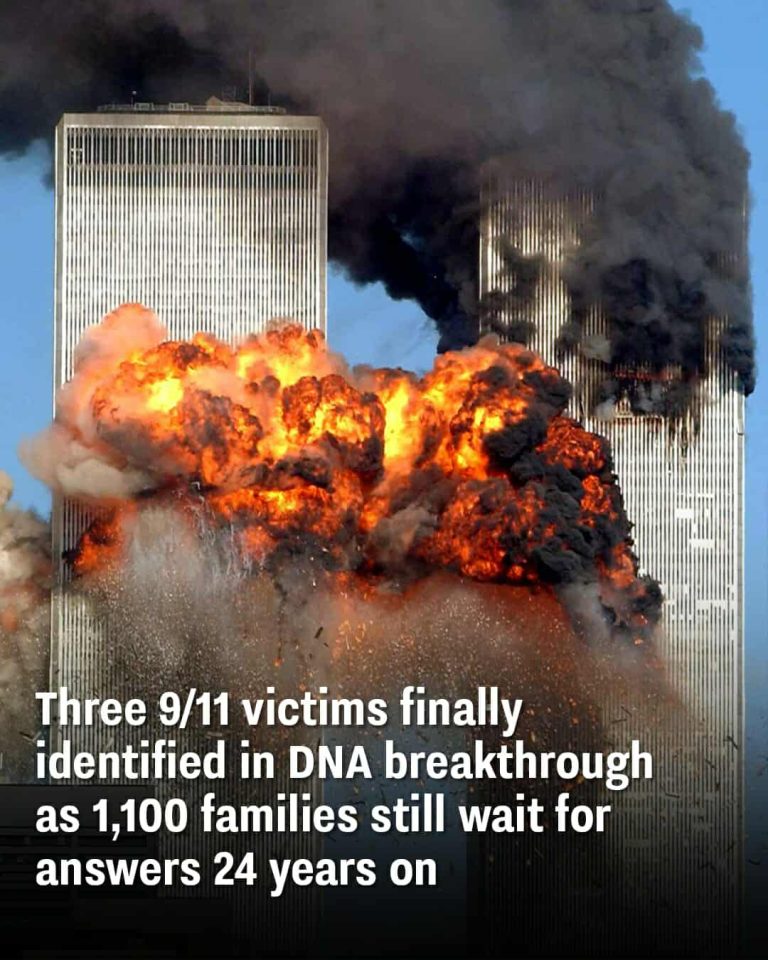 Three More 9/11 Victims Identified Nearly 24 Years After Attacks