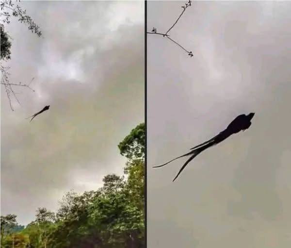 A Peculiar Photograph Has Been Circulating on Social Media
