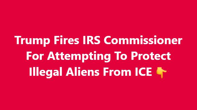 Trump Fires IRS Commissioner For Attempting To Protect Illegal Aliens