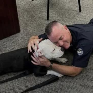 A Shelter Dog’s Big Day Led to a Forever Home