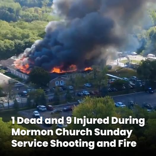 4 de ad, 8 injured in Michig