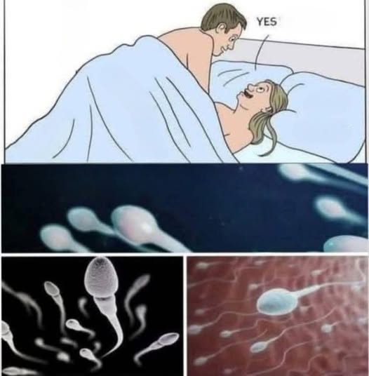 Many know! Studies reveal that swallowing