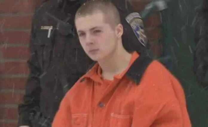Teen Sentenced to