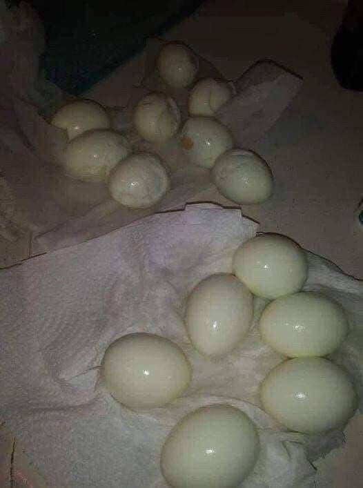 Chef’s Clever Hack for Perfectly