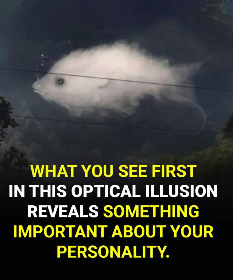 Test: What you see first reveals some