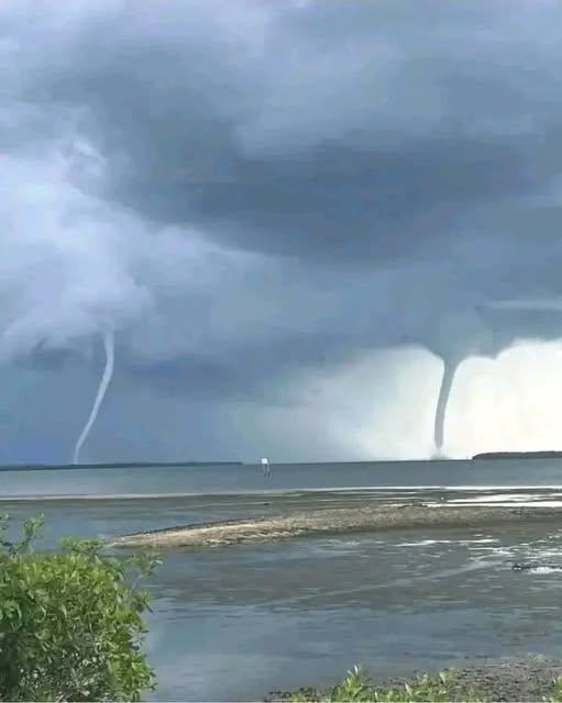 Two marine storms just occurred 