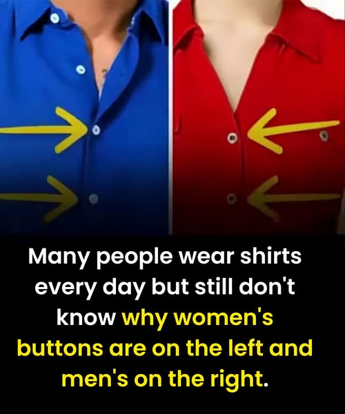 The Real Reason Women’s Shirts