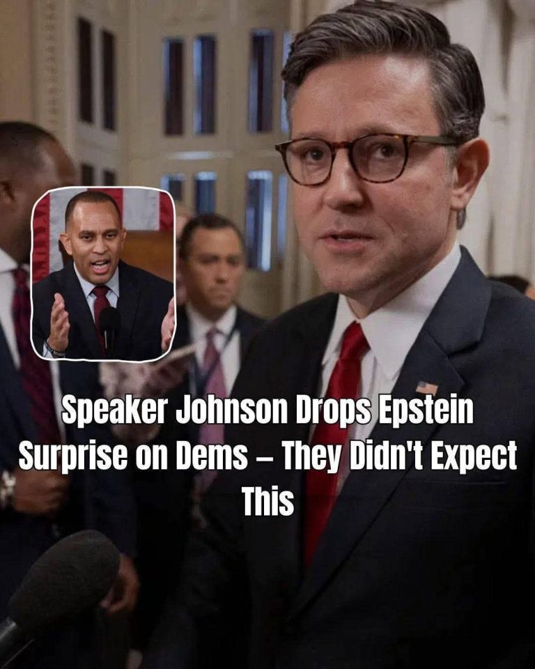 Speaker Johnson Warns Democrat