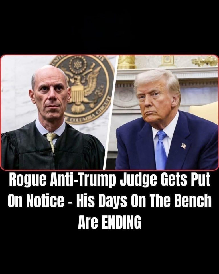 Rogue Anti-Trump Judge Gets Put On Notice