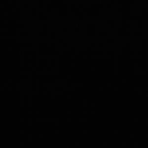 BREAKING: MASS SHO OTING