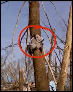 A Family’s Frightening Night Becomes