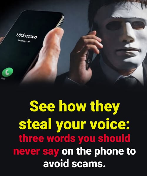 Discover How Scammers Can Steal Your Voice and Exploit