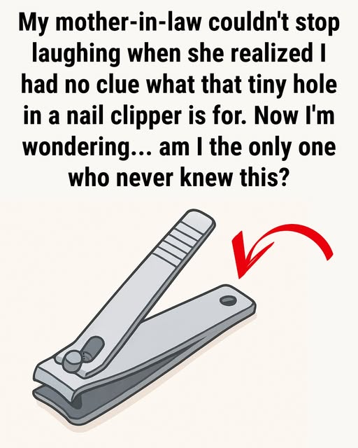 Why Does Your Nail Clipper
