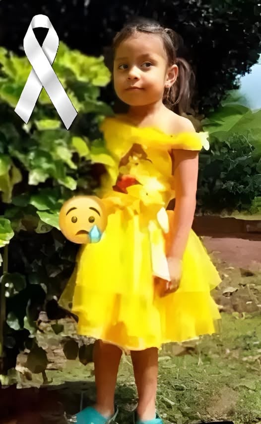 The 5-Year-old girl who was hit by a