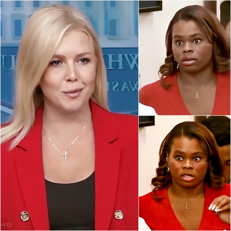 Karoline Leavitt Was Asked One Loaded