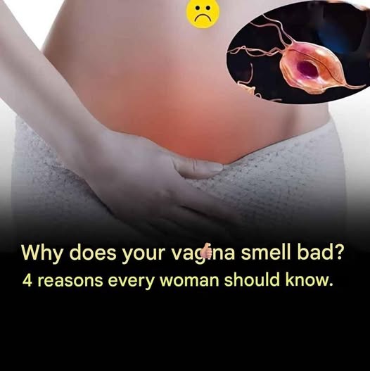 Why Vag inal Odor Happens More Oft