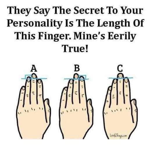 The length of your finger shows