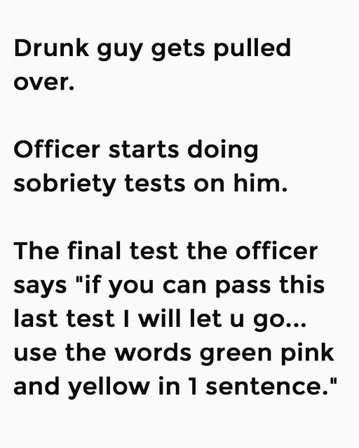Drunk Guy Gets Pulled Over — The Last Test Seals Hi