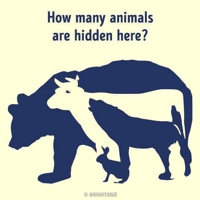 The first animal you see in this picture