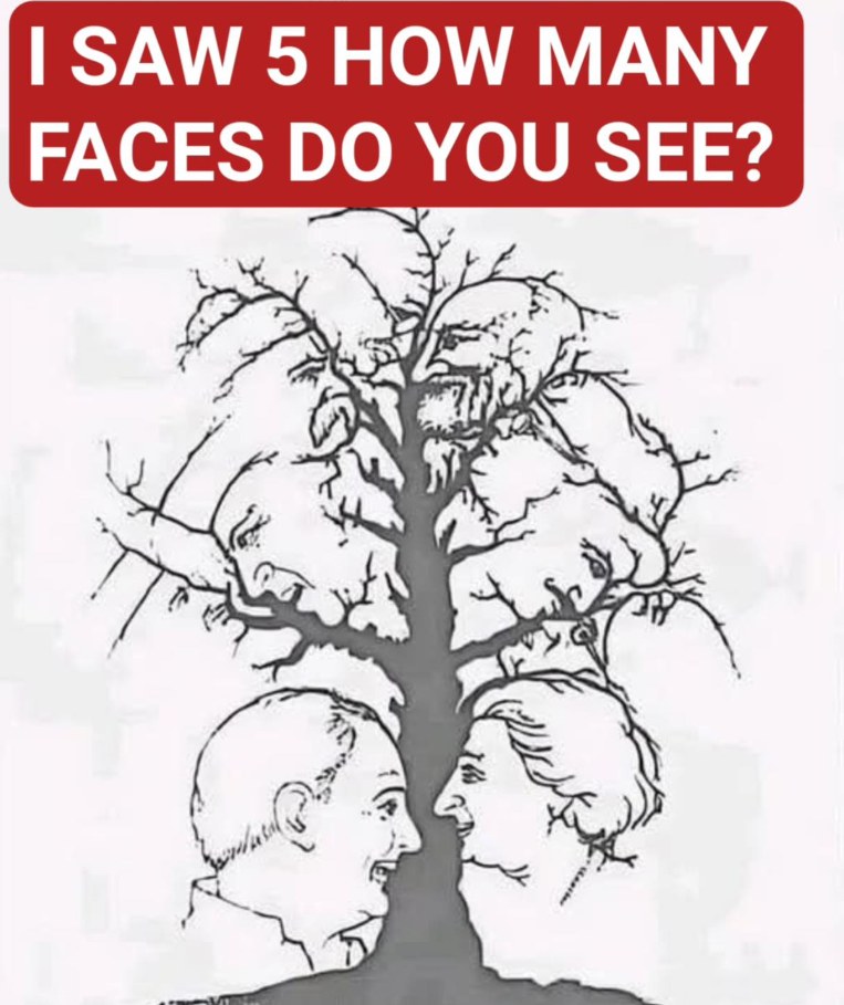 This Optical Illusion Is Challenging the Internet