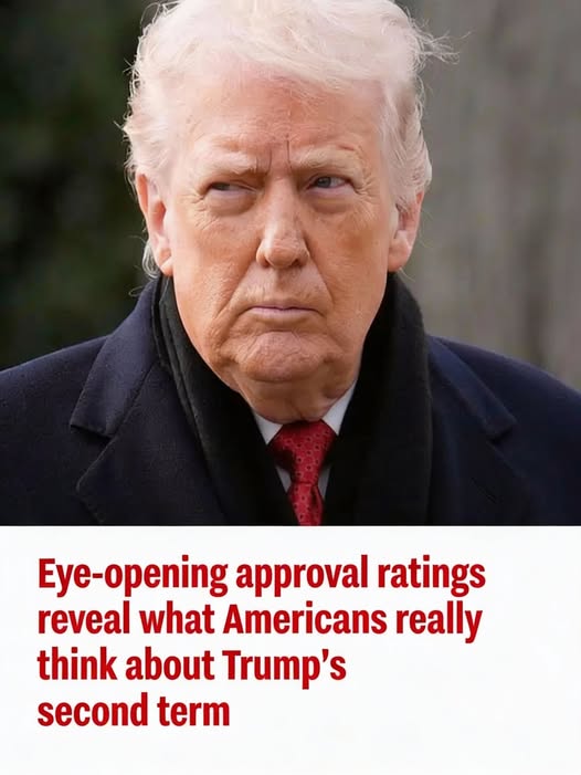 What Americans Really Think About Trump’s