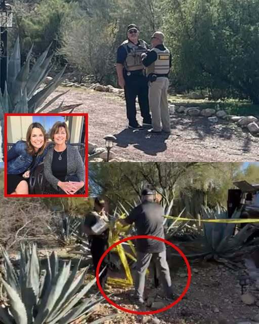 UNSENT MESSAGE: Police have found a seven