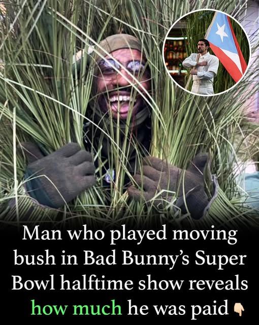 Man who played moving bush in Bad Bunny’s