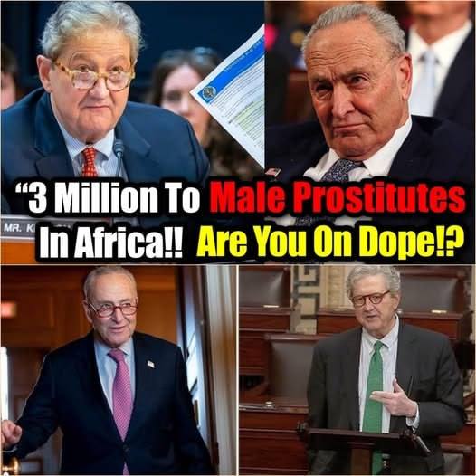 Sen. Kennedy PUBLICLY HUMILIATES