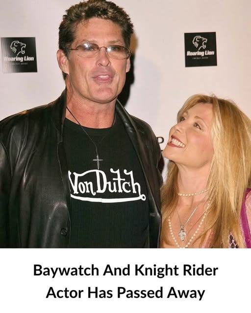David Hasselhoff’s Ex-Wife and Baywatch