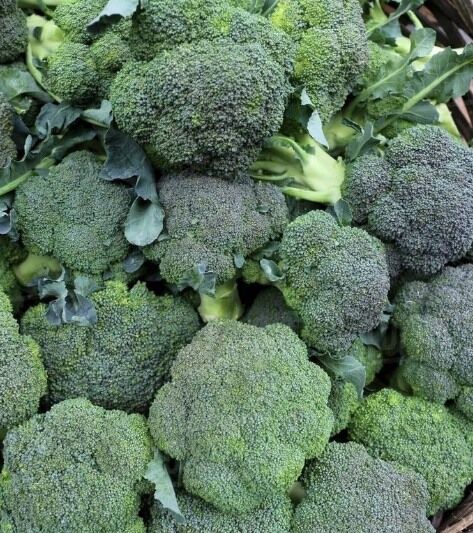 Doctors reveal that eating broccoli 