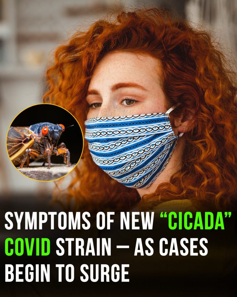 New Covid strain ‘Cicada’ identified a