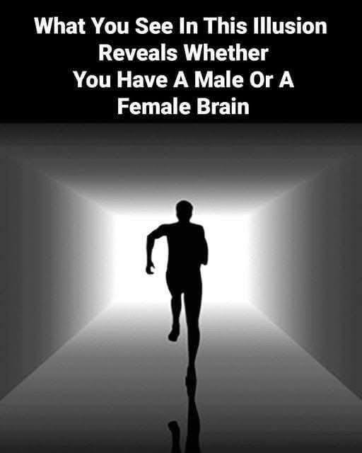 8 fascinating optical illusions that c