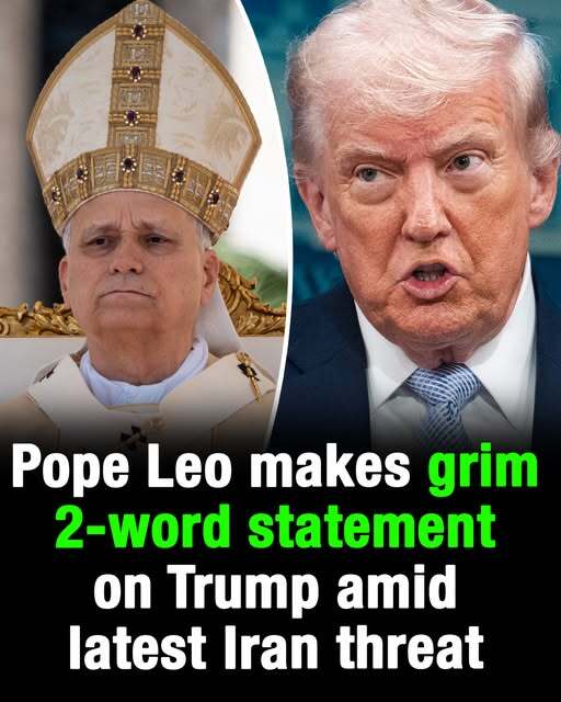 Pope Leo makes grim 2-word statement on