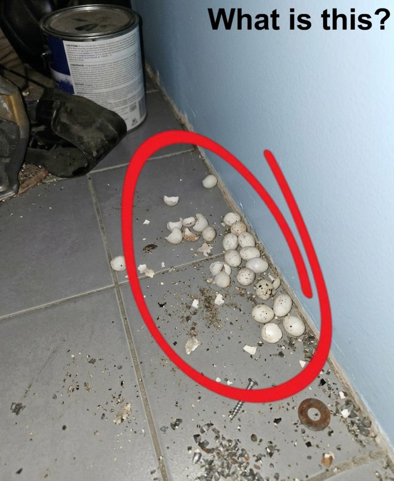 I went into the garage in the evening and