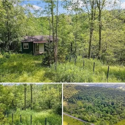 $19,000 No neighbors, no 