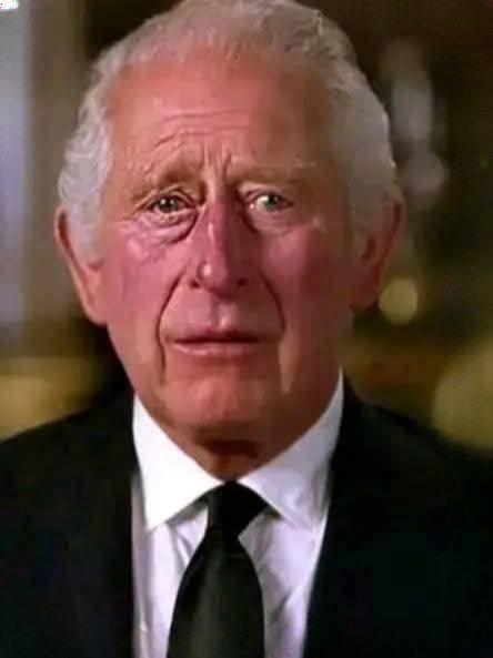 King Charles: A Legacy of 
