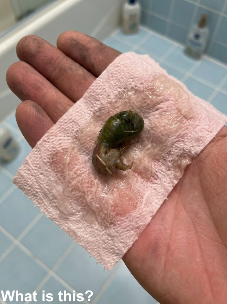 We found this in our bathroom. When 