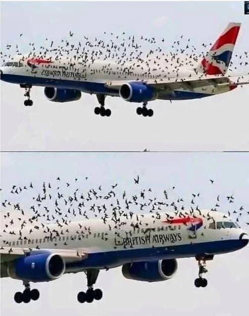 The Mind Blowing Reason This Terrified Pilot