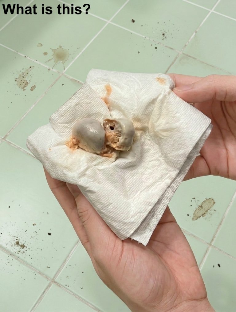 My wife and I found this on 