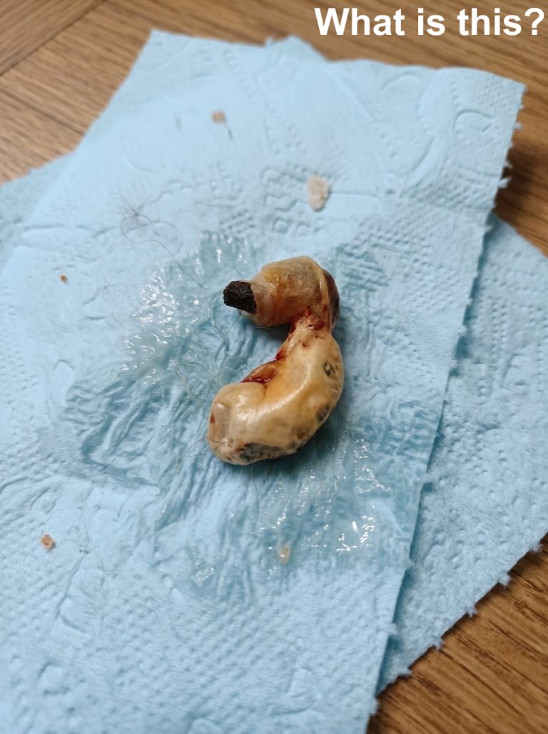 I found this in my son’s room whil